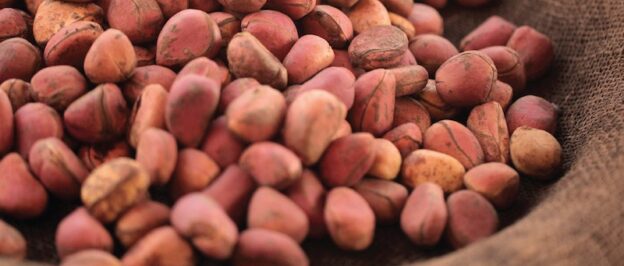 Eco-Friendly Breakthrough: Naturkost Ernst Weber and Green Action Collaborate on Organic Kola Nut Export Pact